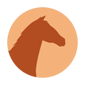 brown-horsie