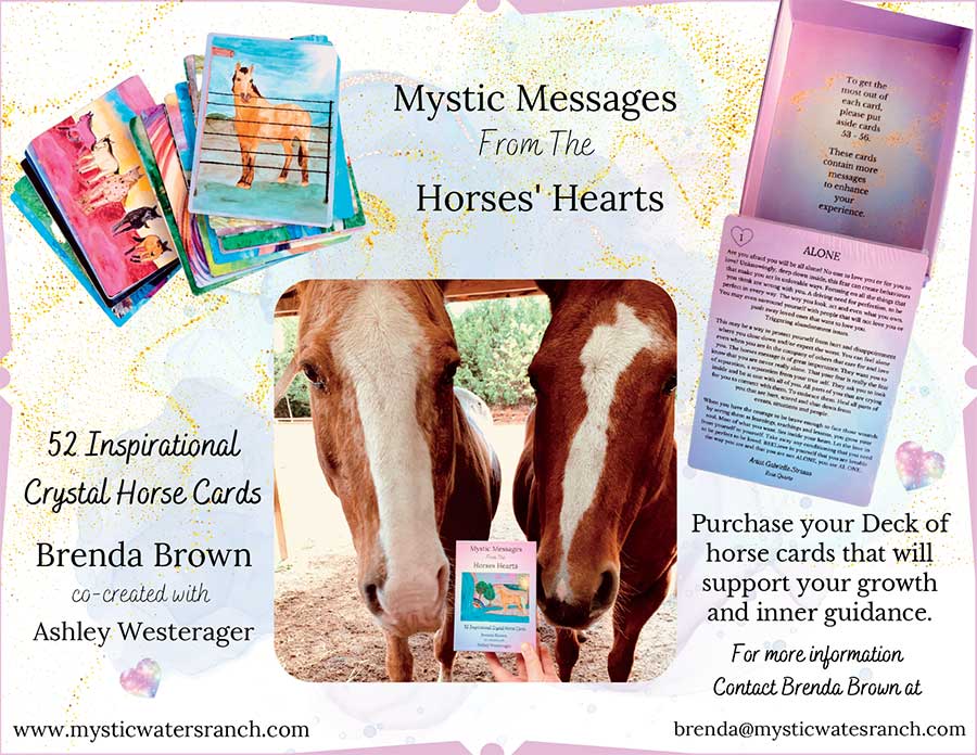 mystic waters ranch horse cards