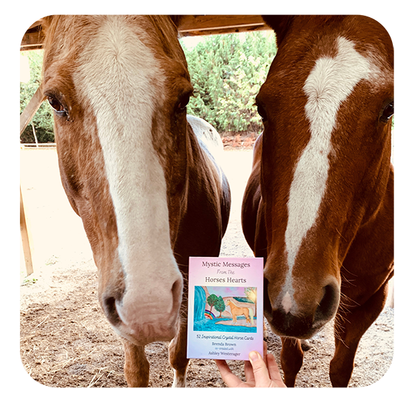mystic messages from horses hearts cards