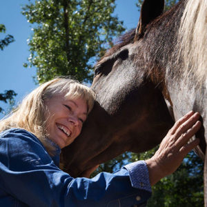 Horse healing sessions Langley