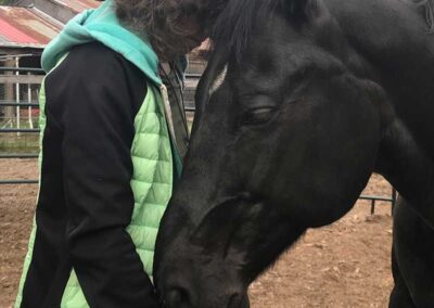 Healing abilities of horses - horse can mirror our emotions and help us heal