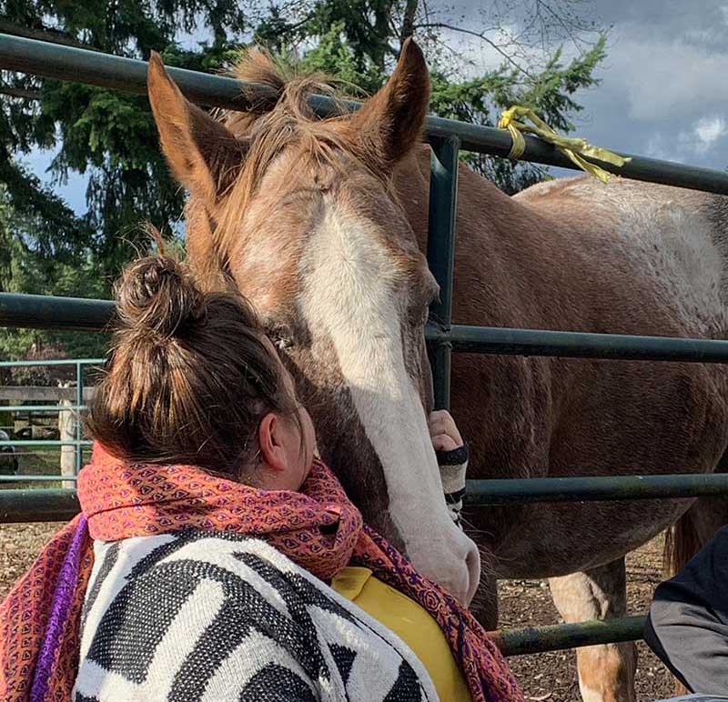equine-therapy-horse-healing